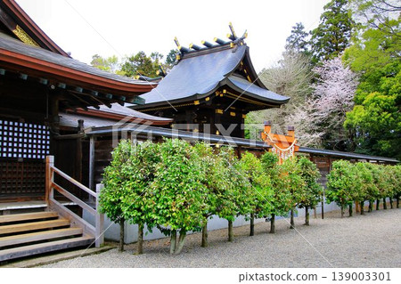 A shrine beloved as a pilgrimage site for anime fans... Washinomiya Shrine 139003301