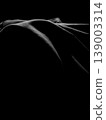 Dark Fabric Texture with Light and Shadow 139003314