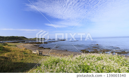 Coast of a sunny day Coast of a sunny day 139003340