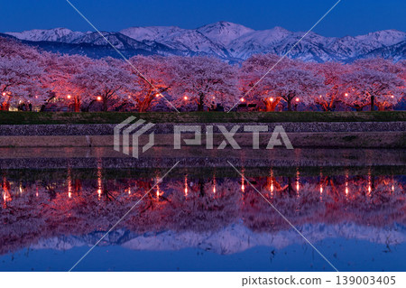 Cherry blossoms and snow-covered mountains at night along the Asahi Funakawa River Cherry blossoms and snow-covered mountains at night along the Asahi Funakawa River 139003405