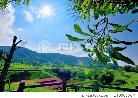 Blue sky and rural landscape viewed through fresh green leaves 139003507