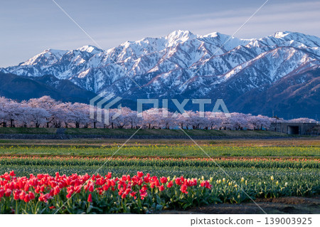 清晨河岸四重奏 139003925