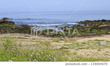 Coast of a sunny day Coast of a sunny day 139004079
