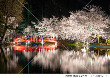 [Cherry Blossom Footage] Illuminated cherry blossoms at Garyu Park at night [Nagano Prefecture] 139004295