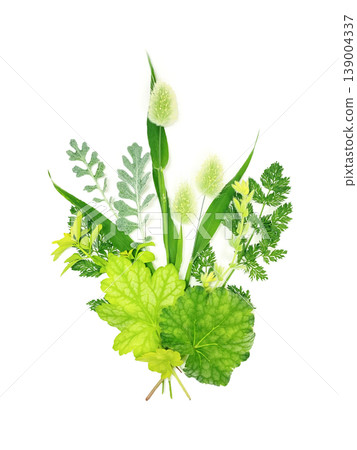 A botanical bouquet featuring fluffy lagurus: white background, vertical orientation, and a central, centered composition. 139004337