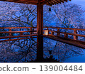 夜晚，三井寺賞月台的櫻花盛開 139004484