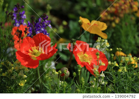 One side of a flower garden One side of a flower garden 139004792