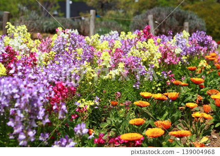 Beautiful flower garden Beautiful flower garden 139004968