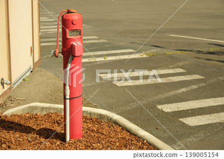A red fire hydrant is in the frame. A red fire hydrant is in the frame. 139005154