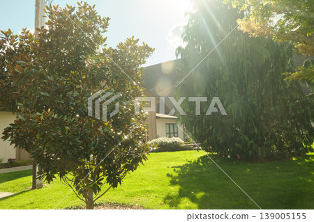 Sunbeams fall upon a green clearing amidst the trees on the church grounds. Sunbeams fall upon a green clearing amidst the trees on the church grounds. 139005155