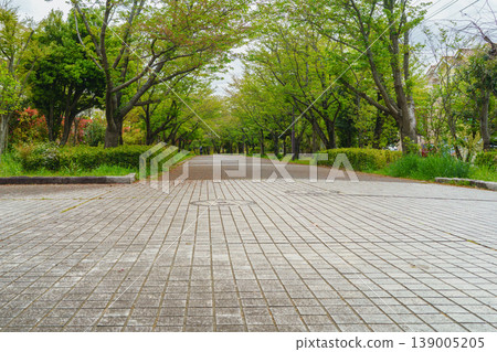 [Ichihara City, Chiba Prefecture] Kazusa Road (near Deai Bridge) 139005205