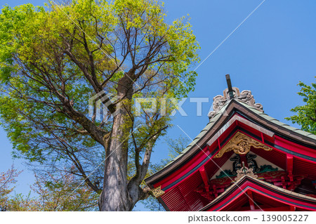 藍天、古樹和一座神社 139005227