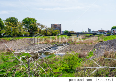 八王子市南淺川的春日景色 八王子市南淺川的春日景色 139005391