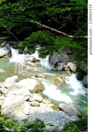 【神奈川縣】流經森林的早戶川上的一處小瀑布 139005414