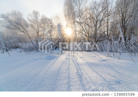 Frosted trees and reeds in serene winter landscape Frosted trees and reeds in serene winter landscape 139005599
