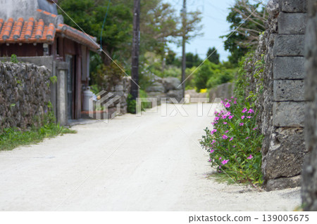 Landscape of Okinawa in Japan Landscape of Okinawa in Japan 139005675
