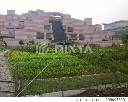 台灣台北 - 2011年12月2日:台灣歷史風景之旅:信義規劃區台北世界貿易博物館“最美菜園” 台灣台北 - 2011年12月2日:台灣歷史風景之旅:信義規劃區台北世界貿易博物館“最美菜園” 139005833