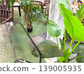 Indoor seating area with plants and glass table in modern decor 139005935