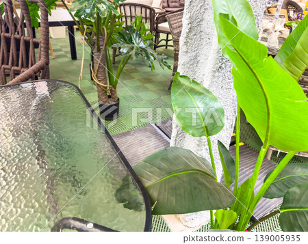 Indoor seating area with plants and glass table in modern decor Indoor seating area with plants and glass table in modern decor 139005935