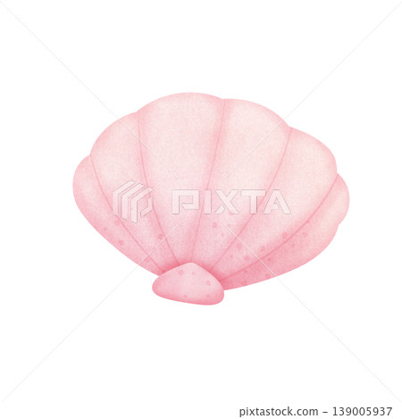 pink seashell ilustration pink seashell ilustration 139005937
