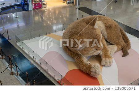An 8-meter (26 ft) long interactive ginger cat sculpture is on display at Hong Kong International Airport 139006571
