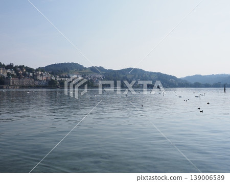 Mountains and lake of European Lucerne city in Switzerland 139006589