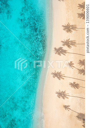 Breathtaking Aerial Top View Tropical Beach Palm Tree Shadows Soft Sand Calm Ocean Waves Serene Summer Nature Breathtaking Aerial Top View Tropical Beach Palm Tree Shadows Soft Sand Calm Ocean Waves Serene Summer Nature 139006601