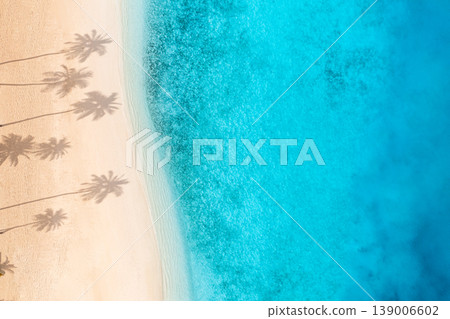 Tranquil Serene Tropical Beach Aerial View Palm Shadows Soft Sand Shore Calm Ocean Summer Background Relaxing Coast Tranquil Serene Tropical Beach Aerial View Palm Shadows Soft Sand Shore Calm Ocean Summer Background Relaxing Coast 139006602