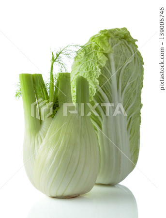 Fresh Chinese cabbage and fennel bulb isolated on a white background. 139006746