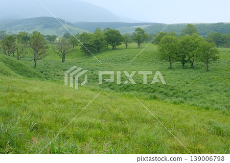 A gently sloping grassland landscape covered in fresh greenery, and a view of early summer mountains and lush trees. A gently sloping grassland landscape covered in fresh greenery, and a view of early summer mountains and lush trees. 139006798