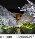 琵琶湖運河沿岸，夜幕下的櫻花盛開 139006897