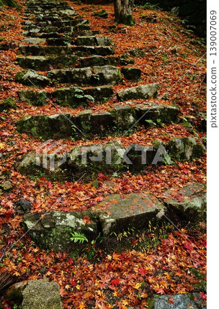 Autumn leaves on Mount Hiei 139007069