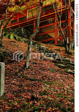 Autumn leaves on Mount Hiei Autumn leaves on Mount Hiei 139007071