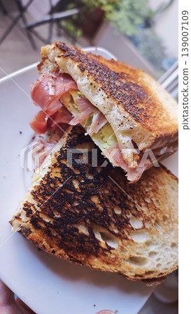 Grilled sandwich with layers of ham, cheese, and lettuce on a white plate, showing toasted bread with a crispy texture and a blurred background of greenery 139007109