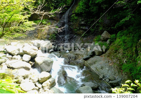 【神奈川縣】隼川谷的小瀑布 【神奈川縣】隼川谷的小瀑布 139007204