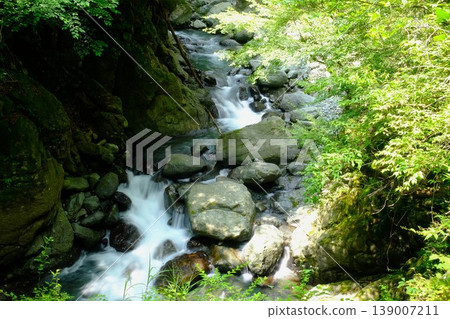 [Kanagawa Prefecture] A secluded waterfall surrounded by fresh greenery 139007211