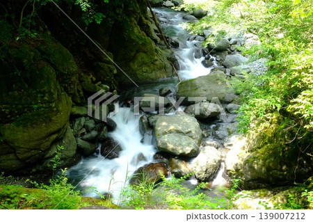 [Kanagawa Prefecture] A small waterfall in the lush green Hayatogawa River 139007212