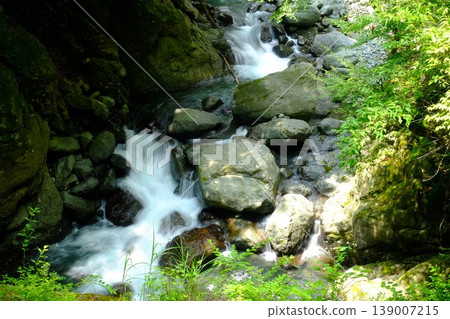 [Kanagawa Prefecture] A small waterfall in the middle of the forest 139007215