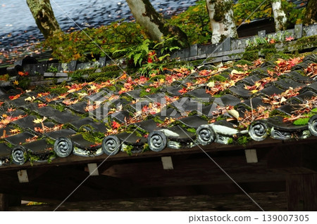 Autumn leaves of Hiei Mountain Autumn leaves of Hiei Mountain 139007305