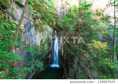 [Japan's Top 100 Waterfalls] Goryu Falls in Jakuchi Gorge in Late Autumn - Ryuzu Falls 5 - Iwakuni City, Yamaguchi Prefecture 139007424