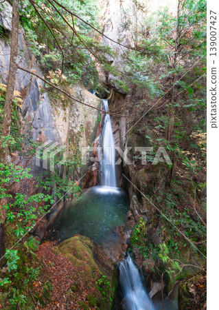 [Japan's Top 100 Waterfalls] Jakuchi Gorge Gorge Gorge in Late Autumn: Upper part of Ryuzu Falls and Ryumon Falls 1, Iwakuni City, Yamaguchi Prefecture 139007427