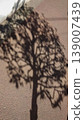 Landscape with tree shadows 139007439