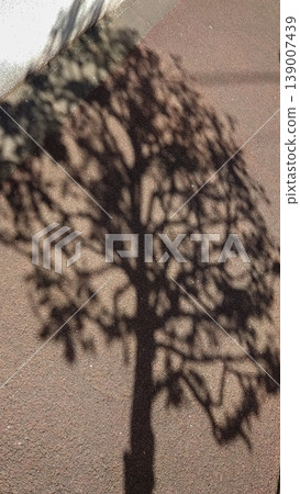 Landscape with tree shadows 139007439