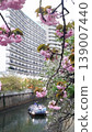 Houseboats on the Meguro River and cherry blossoms in full bloom 139007440