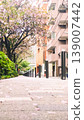 Scenery with cherry blossoms 139007442