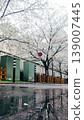 The riverside promenade is bathed in the post-rain glare and surrounded by cherry blossoms in full bloom. 139007445