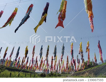 鯉魚幡在天上游 鯉魚幡在天上游 139007593