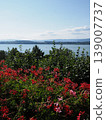Panorama with red flowers and lake in European Murten town in Switzerland - vertical 139007737