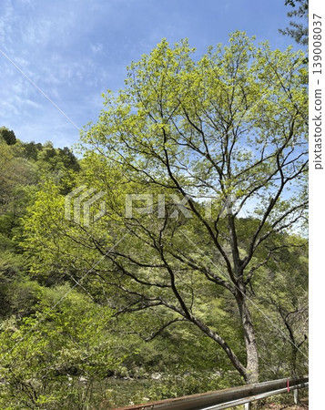 群山被翠綠的植被環繞 139008037