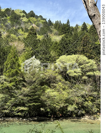 Mountains enveloped in fresh greenery Mountains enveloped in fresh greenery 139008043